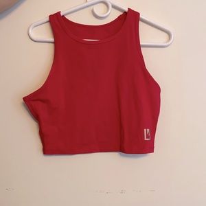 Buffbunny aurora crop top
